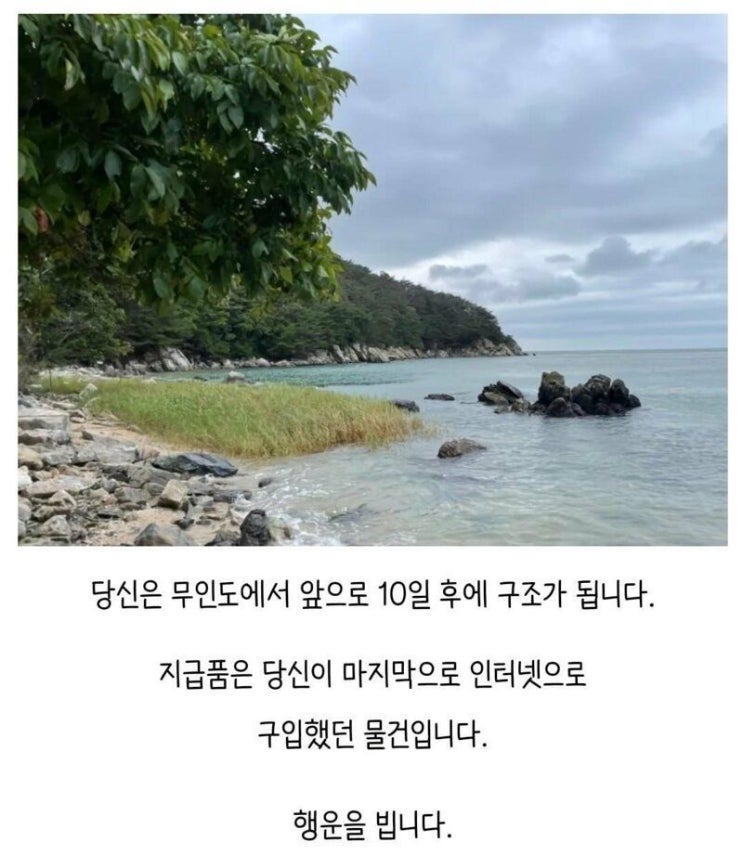 당신은 무인도에 표류되었습니다. : 네이버 블로그
