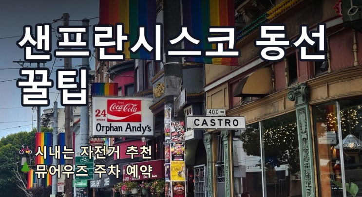 샌프란시스코 여행 코스 뮤어우즈 국립공원 주차