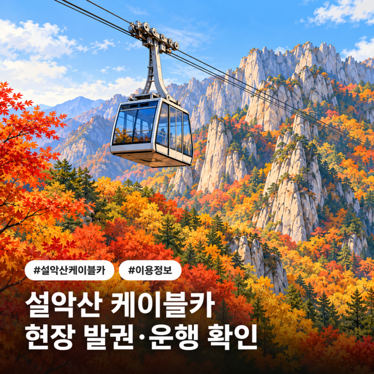 설악산 케이블카 예약 가능할까? 현장 발권 안내