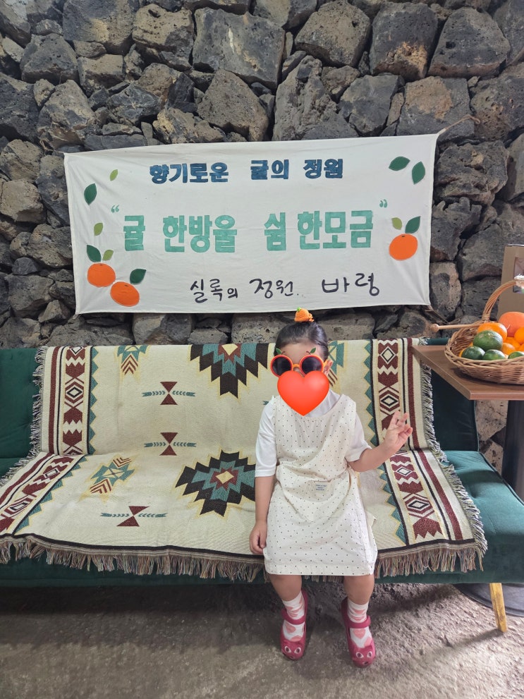 [제주도] 조천읍 귤 따기 체험 가능한 '귤의 정원 바령' : 네이버 블로그