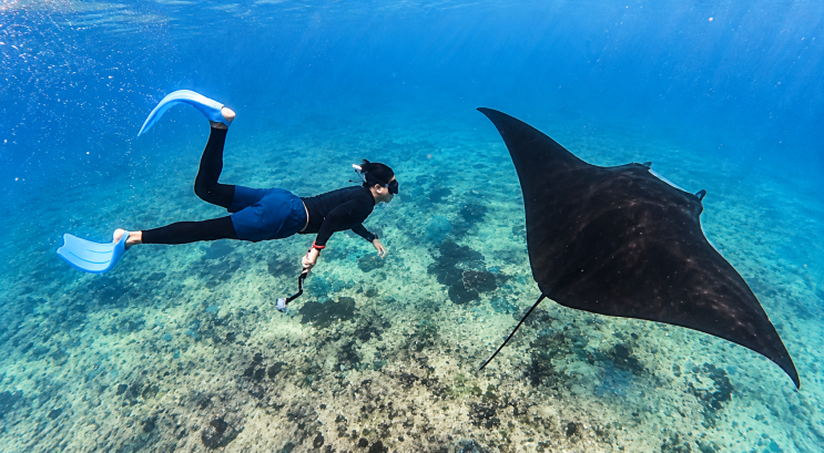 발리 누사페니다 서부 투어 코스 추천 클링킹비치 만타베이 스노클....
