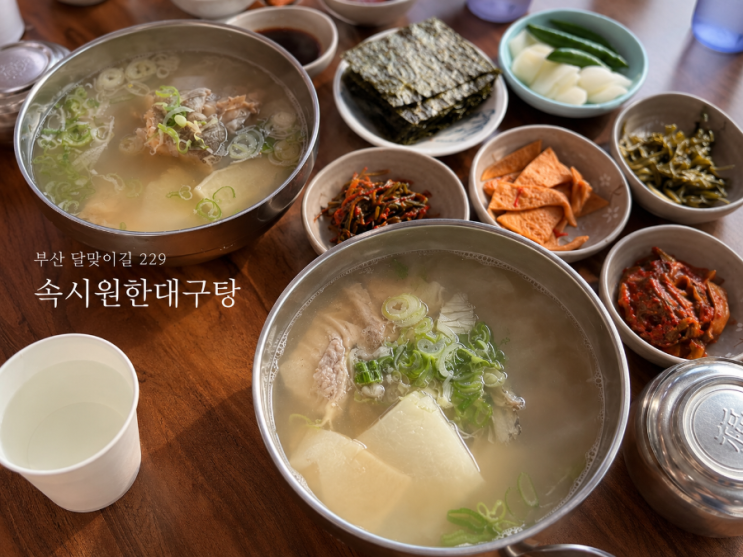 부산 해운대 달맞이길 맛집 속시원한대구탕 원조집 오픈런 후기 : 네이버 블로그
