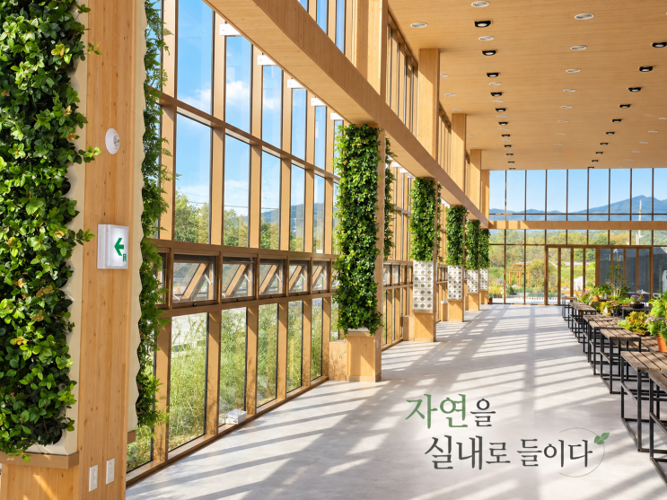 춘천 국립정원소재센터, 자연을 실내로 들이다! 바이오월허니 설치 현장_1 : 네이버 블로그