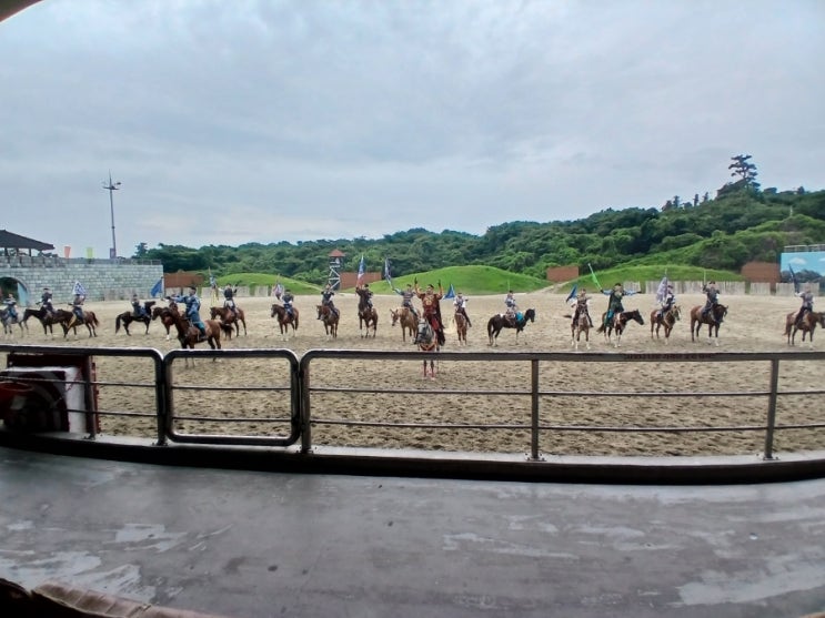 제주도여행 더마파크 기마 공연 시간, 승마체험, 주차 위치, 제주도....