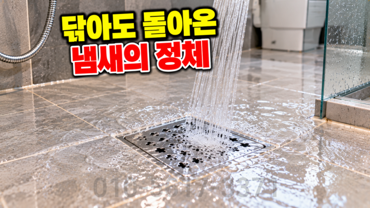 오래된 욕실에서 냄새가 반복된 방배동 빌라 : 네이버 블로그