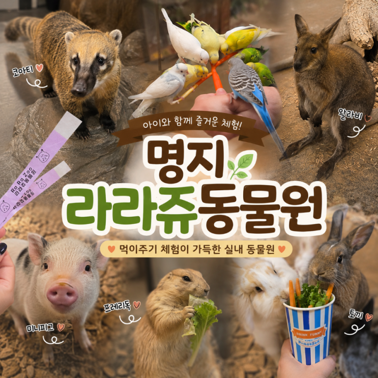 부산아이랑가볼만한곳 명지 라라쥬동물원, 아이와 함께 다녀온 실....