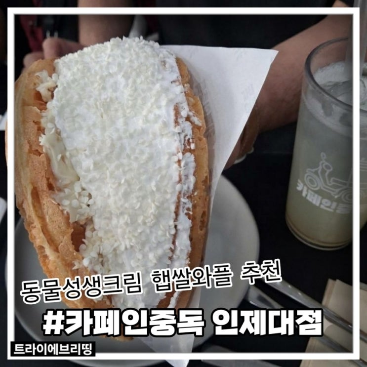 김해 디저트카페 ' 카페인중독 김해인제대점 ' - 시그니처 햅쌀와플 드디어 먹어보다! : 네이버 블로그