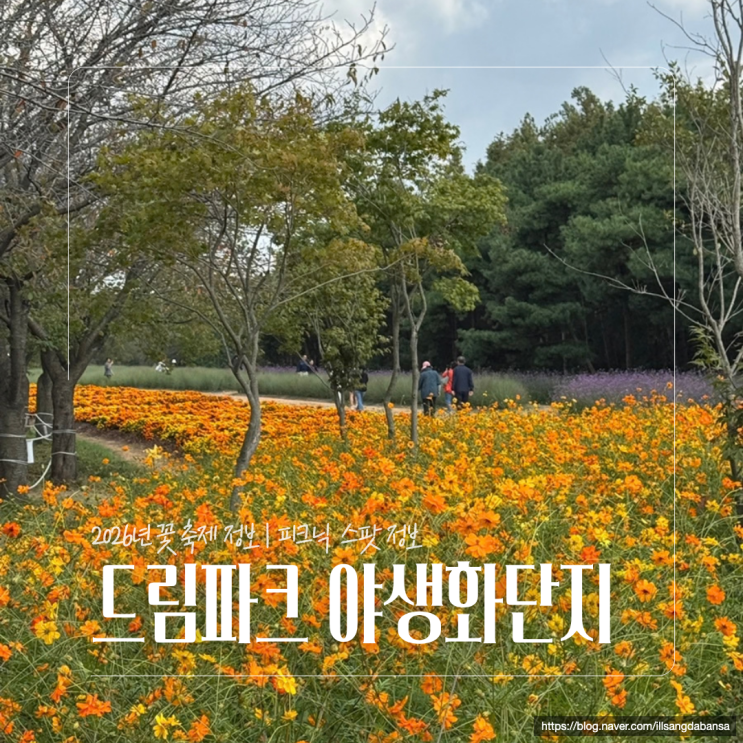 센트럴파크 부럽지 않은 인천 드림파크 야생화단지 | 꽃축제 피크닉....