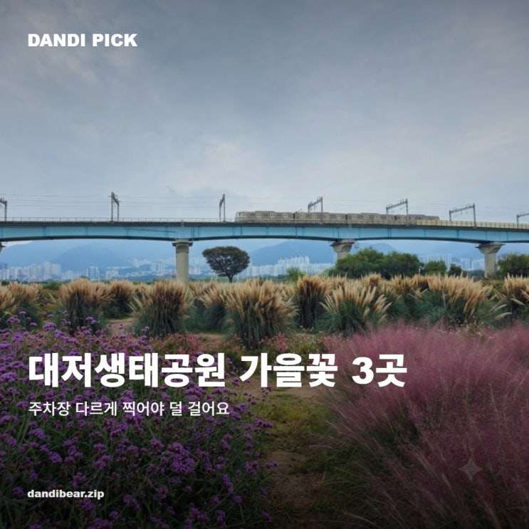 부산 강서구 10월 가볼만한곳, 대저생태공원 꽃 3곳 주차장 다르게 ....