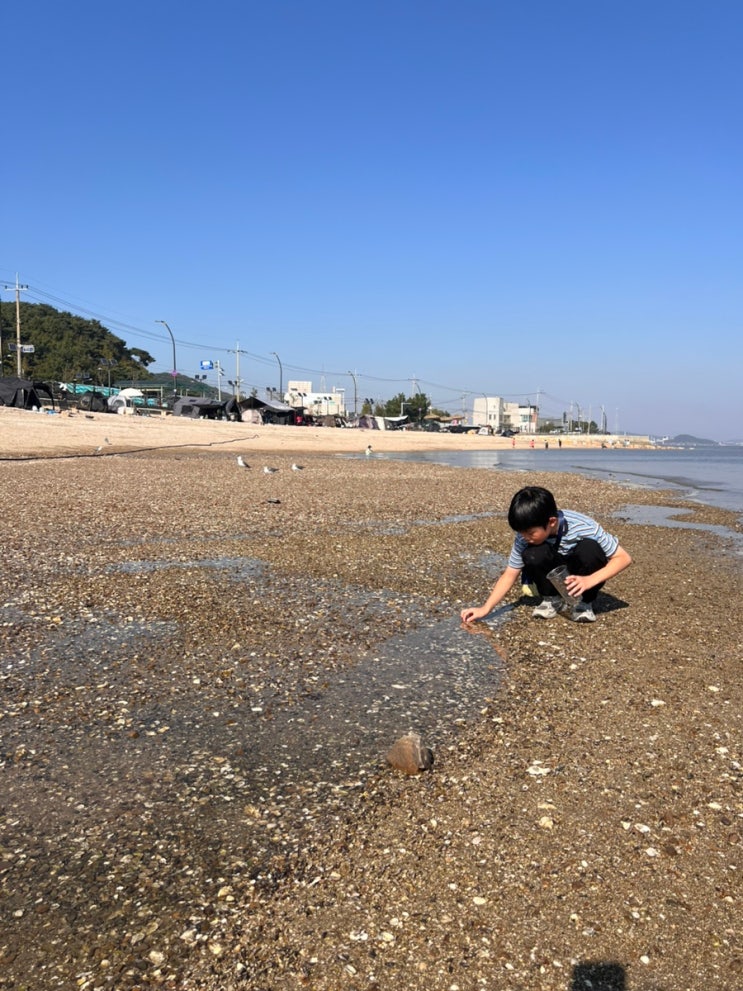 경기도 화성 아이와 가볼만한 곳 제부도해수욕장 갯벌체험 장소 (준....