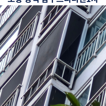 포항 비둘기방충망 설치, 양덕 삼구트리니엔1차 이것저것 막아봐도 찾아오던 비둘기 — 블로그 대표 이미지