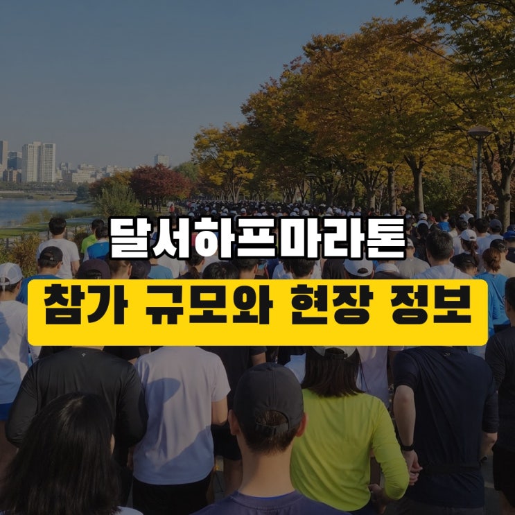 “10,455명 참가” 대구마라톤과 다른 달서하프마라톤, 10월 4일 현장 정보!