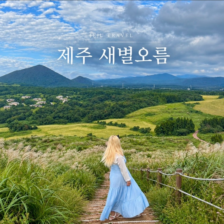 제주 애월 새별오름 가을 억새 명소 정상 소요시간 가을제주도여행 ....