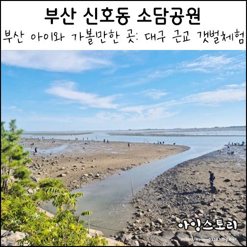 부산 아이와 가볼만한 곳 부산 신호동 소담공원 대구 근교 갯벌체험....