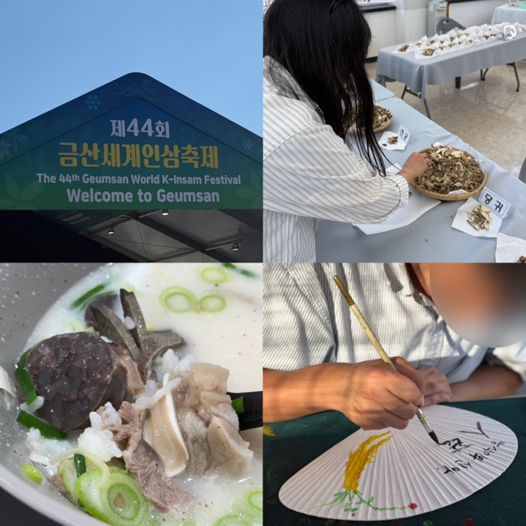 (2026.10.2.~10.11.) 2026년 금산세계인삼축제 후기 (먹거리, 체험활동)