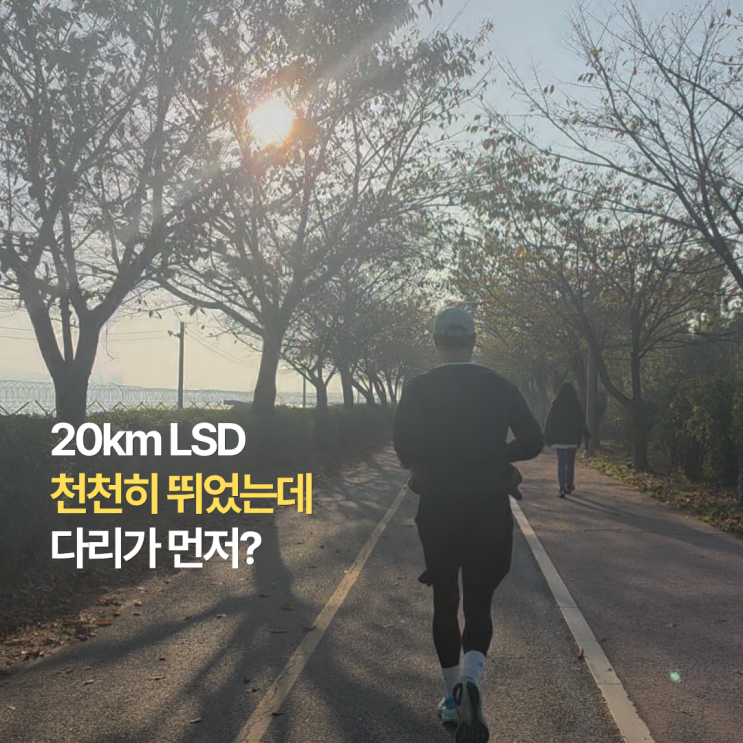 20km LSD 후기, 천천히 뛰었는데 왜 다리가 먼저 힘들었을까?