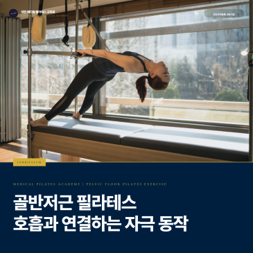 골반저근 필라테스 방법, 강하게 자극할수록 효과가 클까 | 수축·이완과 호흡을 일상 동작으로 연결하는 기준