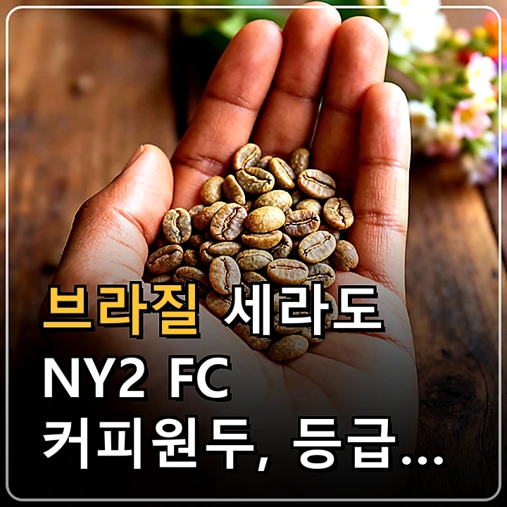 브라질 세라도 NY2 FC 커피원두, 등급과 선택 기준 정리 : 네이버 블로그