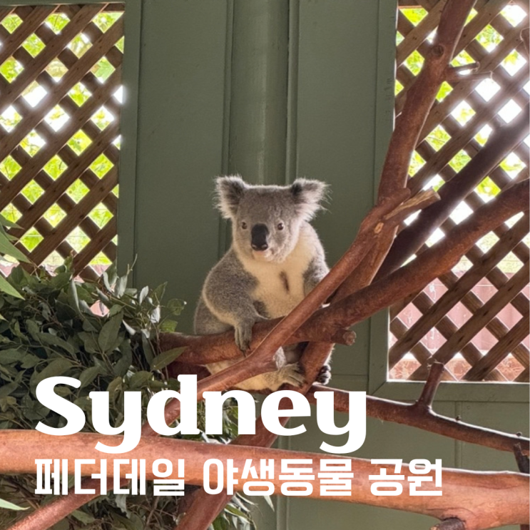 시드니 여행, 페더데일 시드니 야생동물 공원｜시드니 시내에서 가....