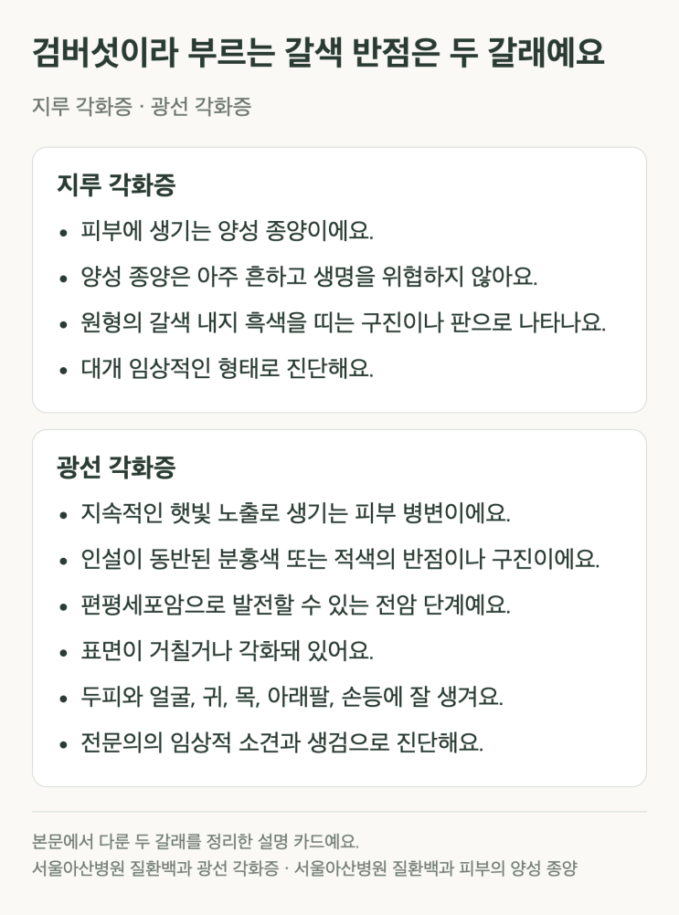 검버섯 광선 각화증 차이, 갈색 반점이 거칠게 만져질 때 : 네이버 블로그