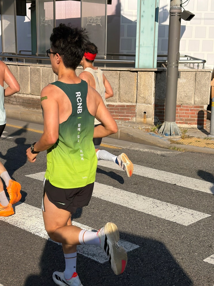 2026 서울레이스 후기｜500m 남기고 멈췄다