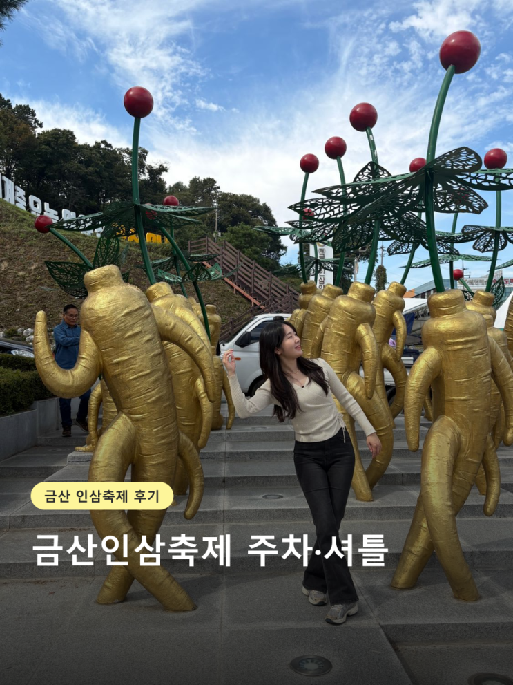 금산 인삼축제 후기, 주차 및 무료 셔틀 동선