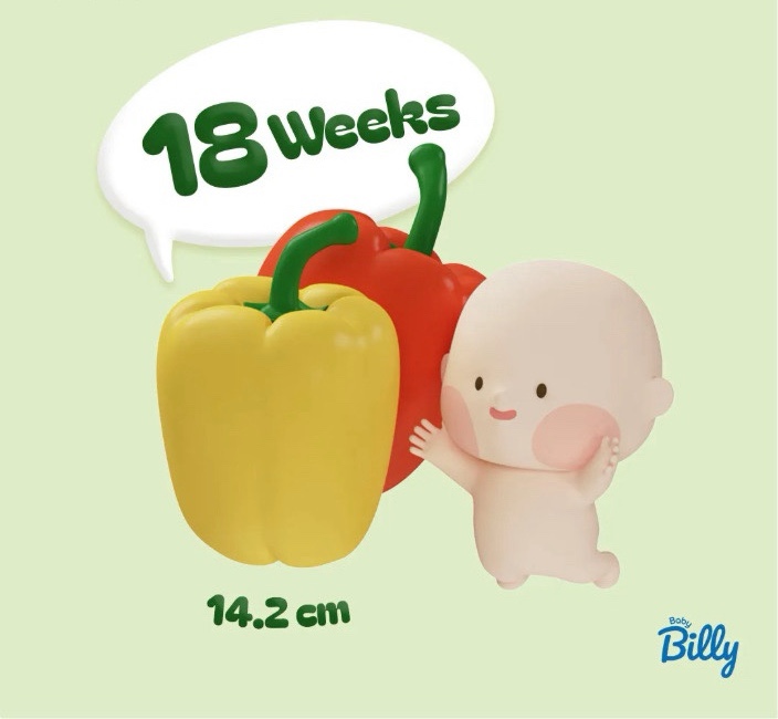👶🏻임신기록: 18주차-23주차 : 네이버 블로그