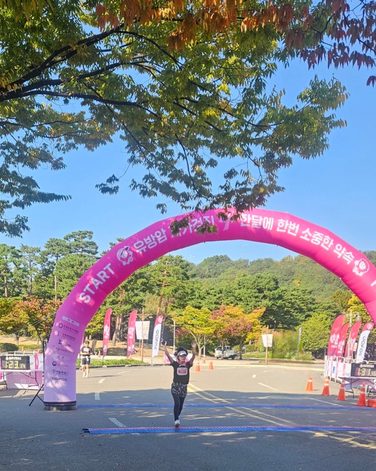 2026년 핑크마라톤완주후기 | 기록보다 값진 나만의 레이스