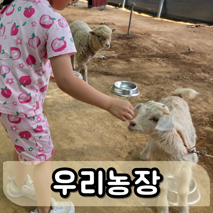 포천 아이와 가볼만한 우리농장, 냄새·주차·먹이체험 솔직 후기 : 네이버 블로그