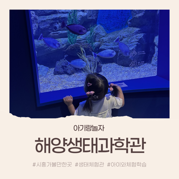 [아기랑놀자] 주말 아이랑 어디 가지? 22개월 아기랑 해양생태과학관 다녀온 찐후기 ෆ : 네이버 블로그