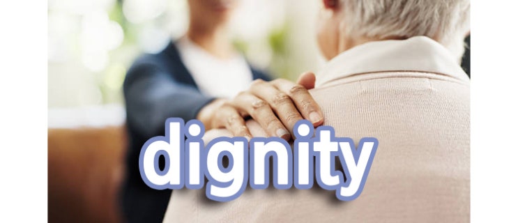 [2026학년도 9모 고2 영어 29번, 오답률 TOP 4] dignity 영어해석 - 가치있고 고귀한 것 - 3 - 71 ...