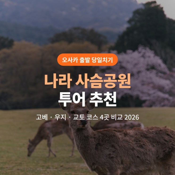 나라 사슴공원 투어 추천 (오사카 출발 나라·고베·우지·교토 버스....