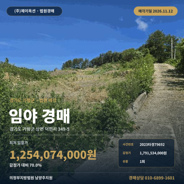 경기 가평 상면 덕현리 임야 경매 남양주지원 2023타경79692 썸네일