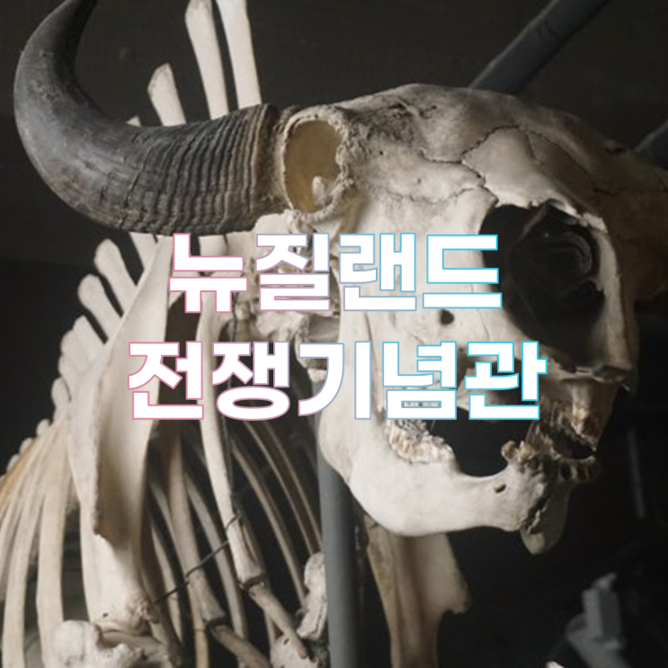 뉴질랜드 북섬 전쟁 기념관 방문기 | WAR MEMORIAL MUSEUM