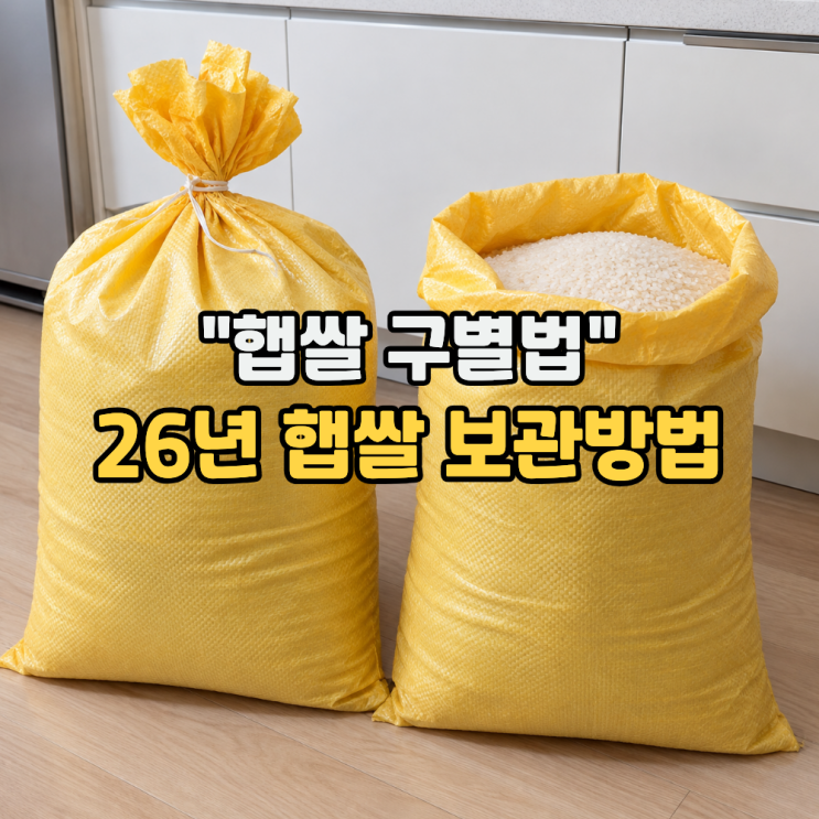 26년 햅쌀 보관방법과 나오는 시기 그리고 묵은쌀 구분법 (실온, 냉장, 냉동) : 네이버 블로그