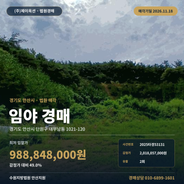 대부남동 대남초교 인근 맹지 포함 산지 경매 2025타경53131 썸네일