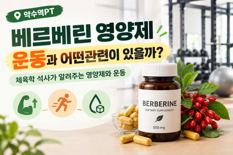약수역pt)베르베린 영양제 운동과 어떤관련이 있을까? 체육학 석사가 알려주는 영양제와 운동 : 네이버 블로그