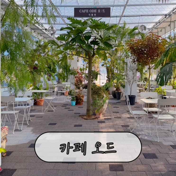화정 새로 오픈한 신상 대형카페 식물원과 노을 뷰까지 볼 수 있는 카페가 있다? 카페오드 : 네이버 블로그