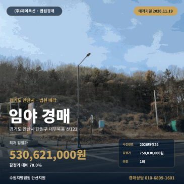 경기 안산시 대부북동 산지 임야 경매, 1회 유찰로 낮아진 대부도 토지 2026타경29 썸네일