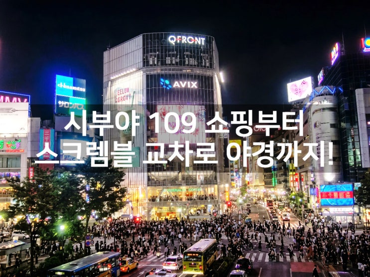 시부야 하치코 동상 109 쇼핑 스크렘블 교차로 야경 코스