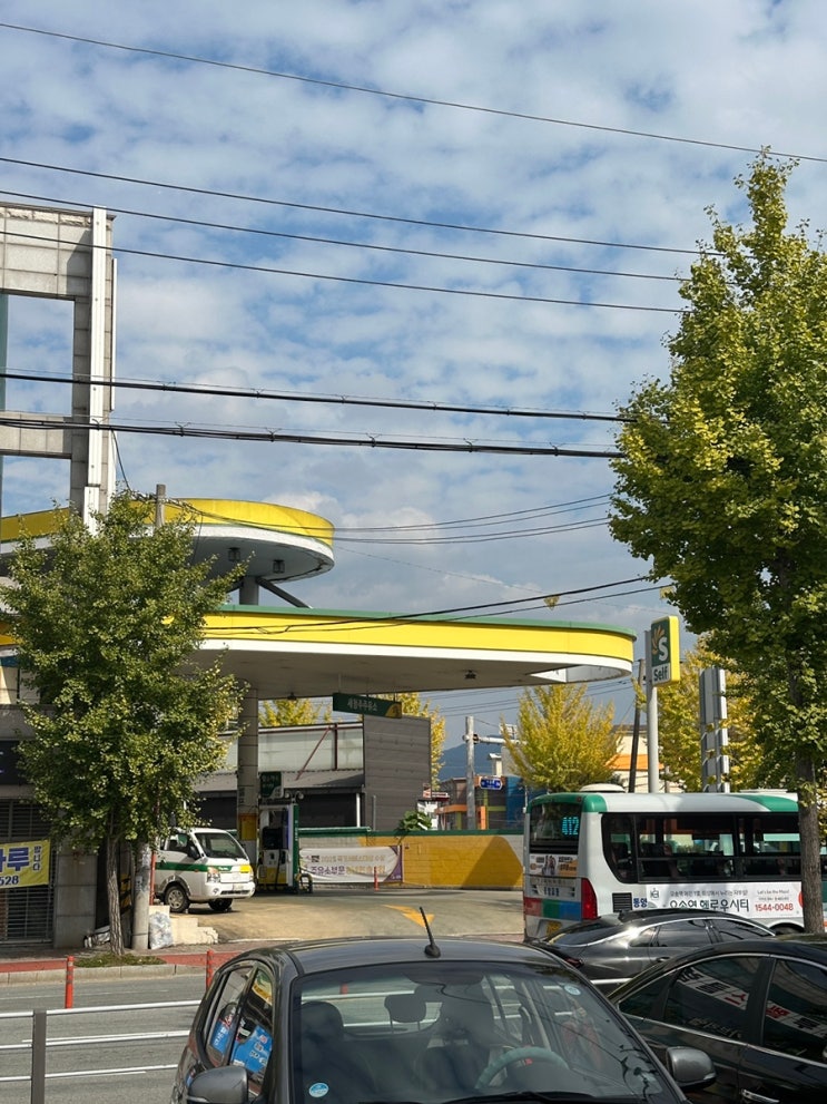 주말일상, 사과대추 군고구마 미이라 집밥 : 네이버 블로그