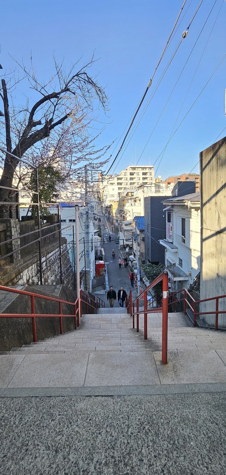 [도쿄 여행] 영화 '너의 이름은' 실제 배경지 요츠야 스가 신사 계단 ....