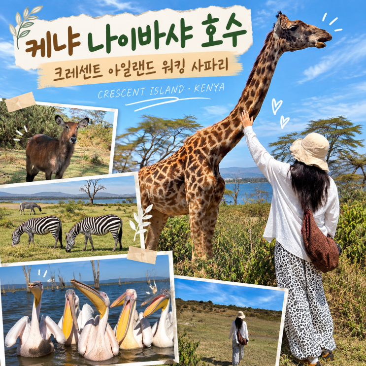 케냐 나이바샤 호수 투어｜크레센트 아일랜드 워킹 사파리 후기 기....