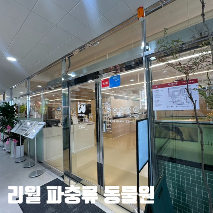 명지 실내 아이랑 갈만한곳, 리월 파충류 동물원