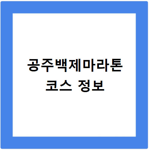 2026 공주백제마라톤 코스 난이도별 최적 루트 분석