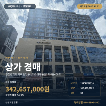 인천 서구 원당동 인천이음초등학교 남동측 일반상업지역 상가 경매 2025타경1230 썸네일