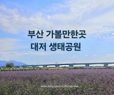 부산가볼만한곳 강서구 대저생태공원 버베나 꽃밭, 유럽 감성 브런....