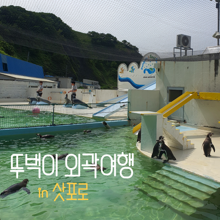 삿포로 뚜벅이 여행｜조용한 숲속 미술관과 오타루 아쿠아리움