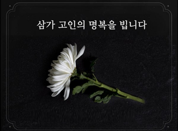 서울레이스 사망 대학생 카이스트 러너 유지원을 향 추모 물결(+프로필, 인스타)
