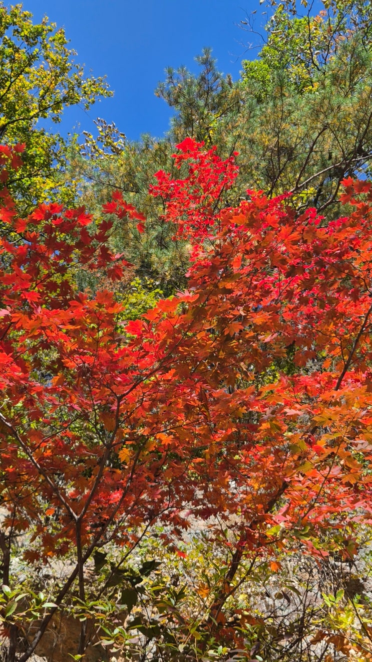 [10월연휴&러닝]춘천연합마라톤대회 참가 후기+한강변 부동산투자자를 위한 러닝코스 소개